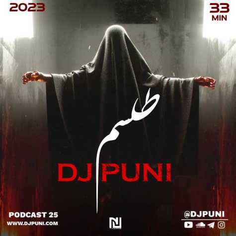 dj puni telesm 2023 03 17 20 48