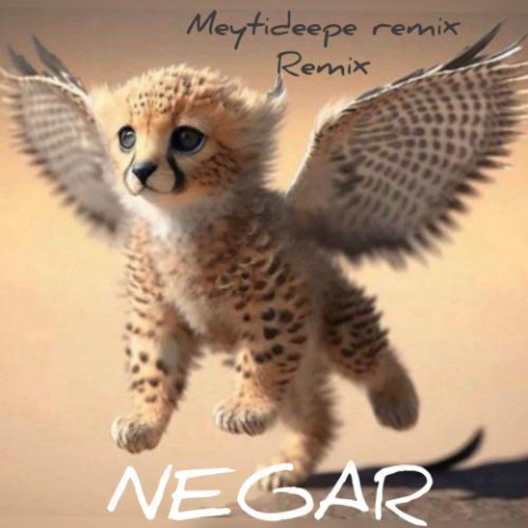 meyti deepe negar remix 2023 03 02 17 29