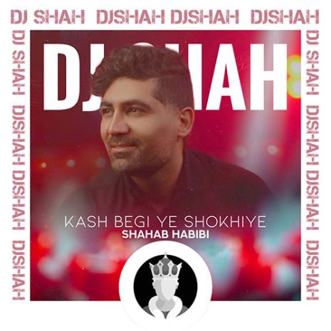 shahab habibi ye shokhie remix version 2023 03 29 00 30