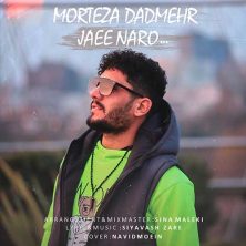 morteza dadmehr jaee naro 2023 04 22 17 35