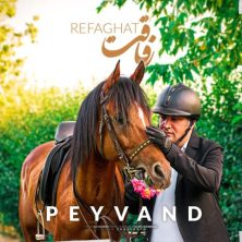 peyvand refaghat 2023 05 06 20 00
