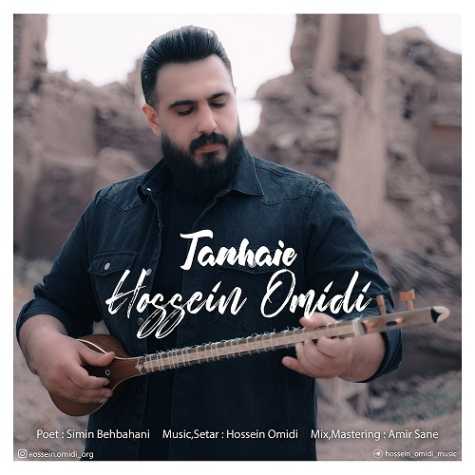 hossein omidi tanhaie 2023 06 01 13 46