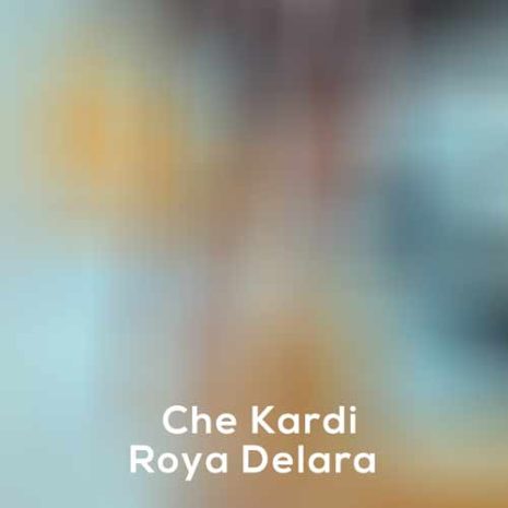 roya delara che kardi 2023 12 30 02 23