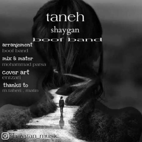 shaygan taneh 2024 01 27 13 29