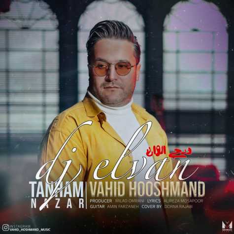 vahid hooshmand tanham nazar dj elvan remix 2024 01 21 11 47