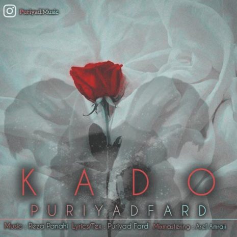 pouriyad fard kado 2024 02 20 15 58