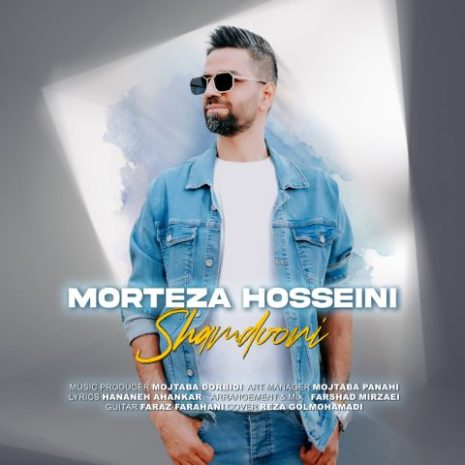 morteza hosseini shamdooni 2024 03 13 05 19