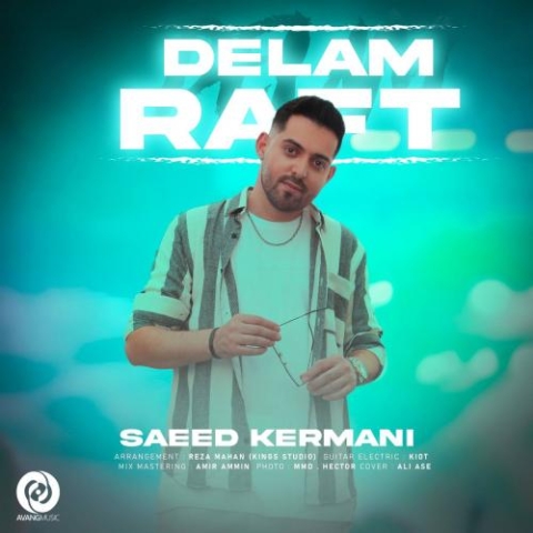 saeed kermani delam raft 2024 06 09 22 27