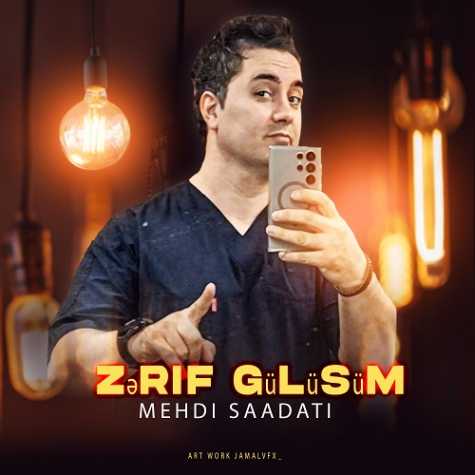 mehdi saadati zerif gulusum 2024 08 28 20 20