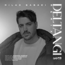 milad babaei deltangi remix 2024 08 28 20 30