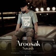 savash aroosak 2024 08 29 20 40