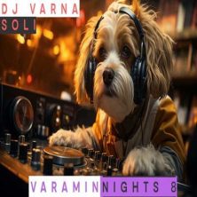 dj varna varamin nights 08 2024 12 04 19 40