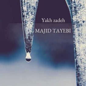 majid tayebi yakh zadeh 2024 12 13 20 40