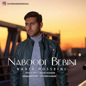 navid hosseini naboodi bebini 2024 12 08 16 15