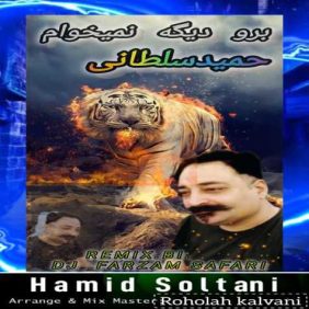 hamid soltani boro dige nemikham dj farzam safari remix 2025 01 15 21 13