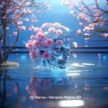 dj varna varamin nights 20 2025 02 02 19 56