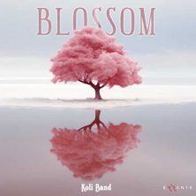 koli band blossom 2025 02 11 12 29