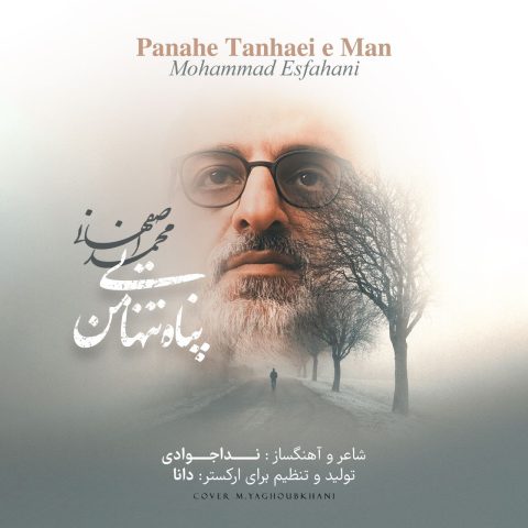 mohammad esfahani panahe tanhaei man 2025 03 04 14 02