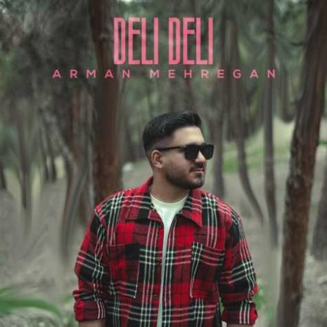 دانلود آهنگ آرمان مهرگان دلی دلی 9 arman mehregan deli deli 2025 04 19 00 15
