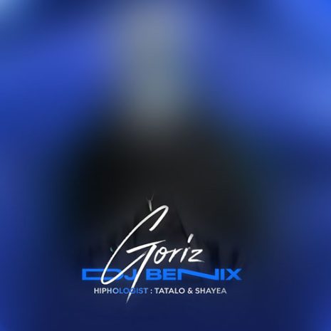 دانلود آهنگ دیجی بنیکس گریز (ریمیکس) 12 dj benix goriz remix 2025 04 20 14 20