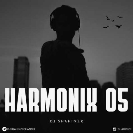 دانلود آهنگ دیجی شاهین زد آر هارمونیکس ۵ 8 dj shahinzr haromonix 05 2025 04 19 00 20