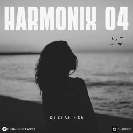 دانلود آهنگ دیجی شاهین زد آر پادکست هارمونیکس ۴ 6 dj shahinzr podcast haromonix 04 2025 04 14 20 27