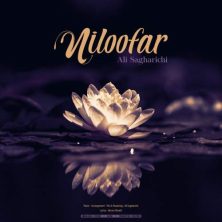 ali sagharichi niloofar 2025 05 18 12 25