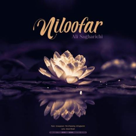 دانلود آهنگ علی ساغریچی نیلوفر 8 ali sagharichi niloofar 2025 05 18 12 25