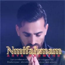 arya radmehr nemifahmam 2025 05 22 13 50