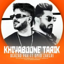 behzad pax ft omid zakeri khiaboone tarik 2025 05 06 18 05