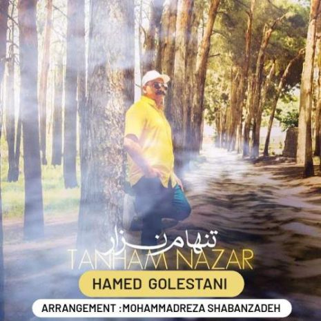 دانلود آهنگ حامد گلستانی تنهام نزار 2 hamed golestani tanham nazar 2025 05 28 22 05
