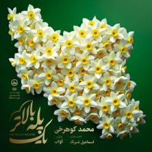 mohammad koohrokhi yek pelle balatar 2025 05 03 17 25