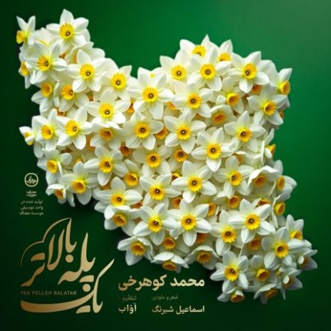 دانلود آهنگ محمد کوهرخی یک پله بالاتر 1 mohammad koohrokhi yek pelle balatar 2025 05 03 17 25