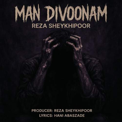 reza sheykhipoor man divoonam 2025 05 29 12 35