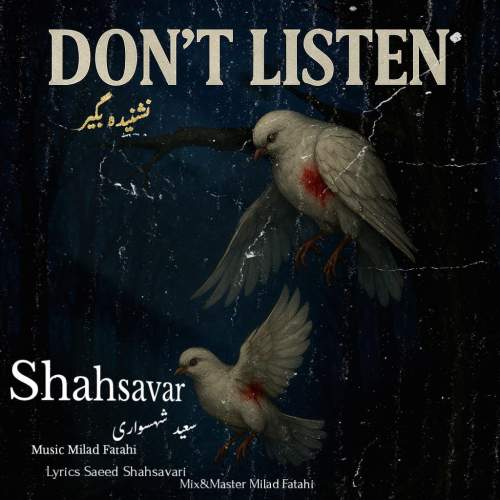 saeed shahsavari shahsavar nashnide begir 2025 05 20 13 45