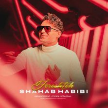 shahab habibi fereshteh 2025 05 18 14 20
