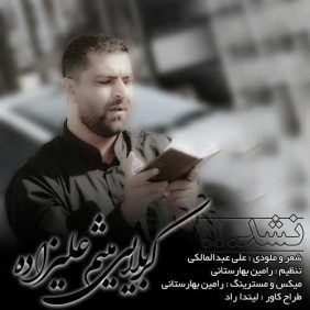 meysam alizadeh nashod 2025 06 27 21 45