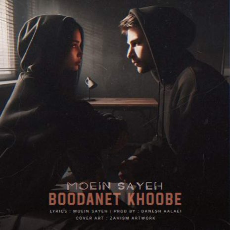 دانلود آهنگ معین سایه بودنت خوبه 5 moein sayeh boodanet khoobe 2025 06 09 15 05