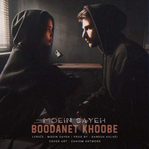 moein sayeh boodanet khoobe 2025 06 09 15 05