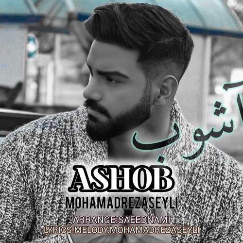 mohamadreza seyli ashob 2025 06 12 16 05