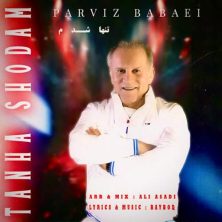 parviz babaei tanha shodam 2025 06 10 13 00