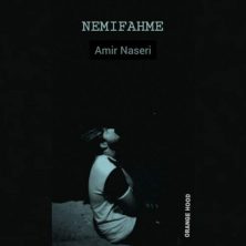 amir naseri nemifahme 2025 07 28 20 05