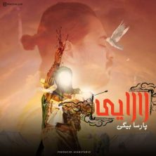 parsa beigi lalaei 2025 07 02 13 20