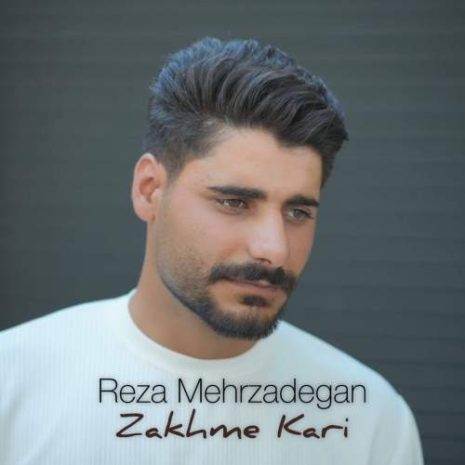 دانلود آهنگ رضا مهرزادگان زخم کاری 9 reza mehrzadegan zakhme kari 2025 07 21 16 15