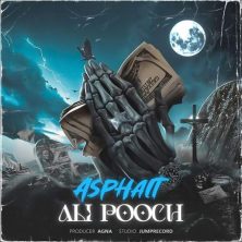 ali pooch asphalt 2025 08 07 13 20