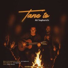 ali sagharichi tane to 2025 08 31 14 15