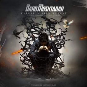 borhan ft reza ahmadi dard moshtarak 2025 08 04 20 40