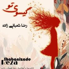 reza shabanizade gisooye to 2025 08 25 12 25