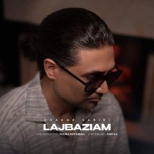 shahab habibi lajbaziam 2025 08 27 17 10