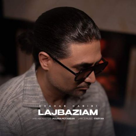 دانلود آهنگ شهاب حبیبی لجبازیام 1 shahab habibi lajbaziam 2025 08 27 17 10